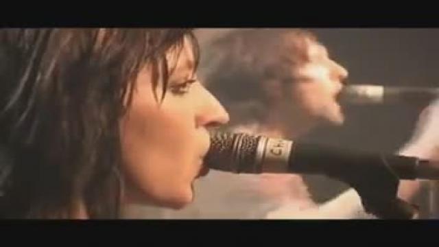 Ash - Shining Light