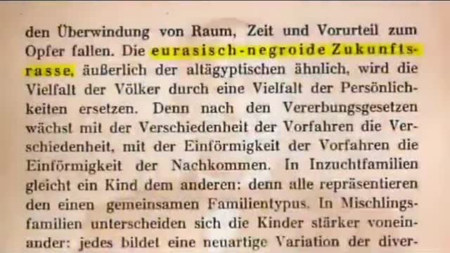 The Kalergi Plan