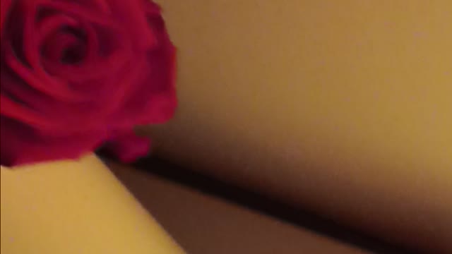 Valentine's Day 2026 Rose's and candlelight