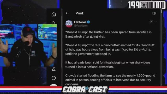 Donald Trump The Buffalo Situation is WILD 