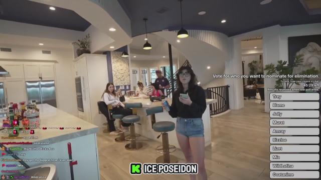 Treyliving attacks Thewildlatina with an egg