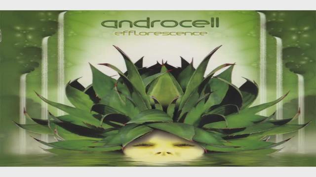 Androcell - Process of Unfolding