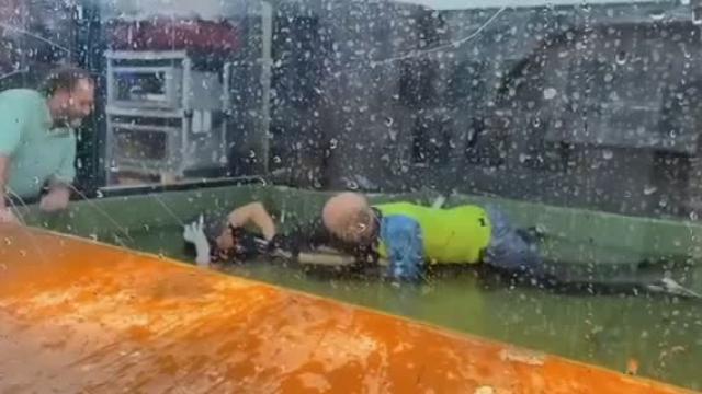 Crocodile attacks zoo keeper and a visitor jumps in the cage to help