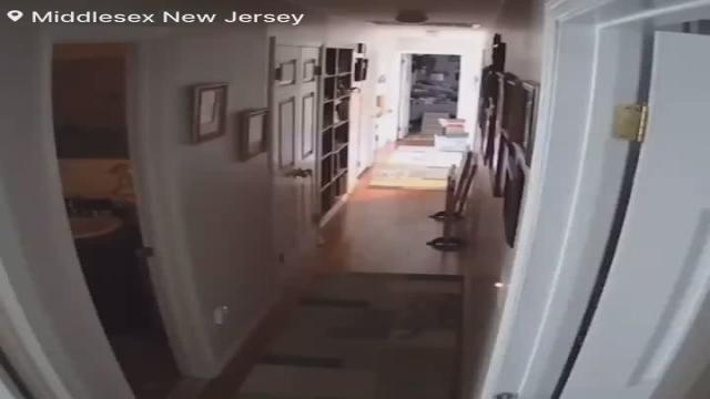 🚨#BREAKING: Watch as a Ring Security Camera Captures the Exact Moment when a 4.8 Magnitude Earthquake Strikes  📌#Middlesex | #NewJersey 