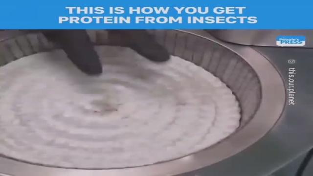 This is the process of extracting protein from ze bugz... They really want us eating this shit don't they? It's way more labour-intensive than eating a steak.   They can fuck right off. I'll buy my own cow if I have to
