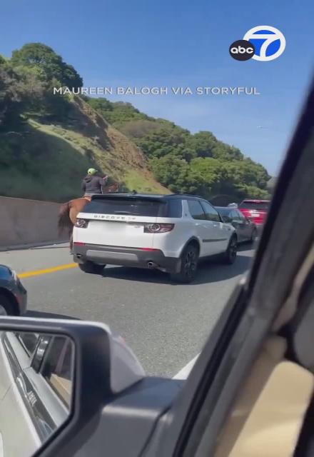 🇺🇸 One Horsepower Beats Hundreds in California
