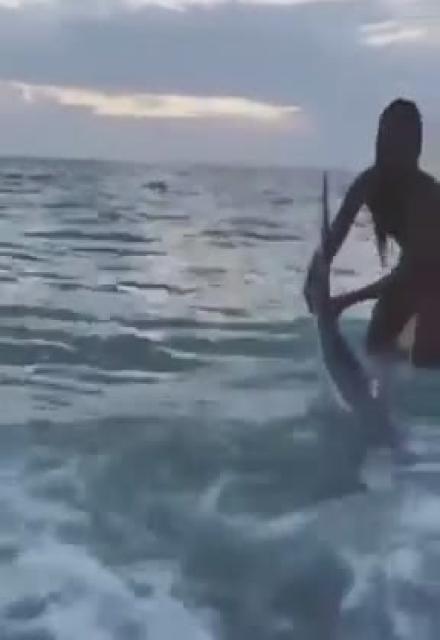  HEROIC WOMAN SAVED STRANDED SHARK  A great example which proves you can get more views for doing good, responsible things.