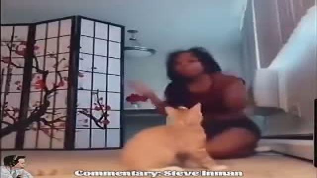 Cat Attacks It's Owner