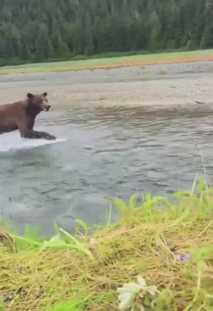 This is next-level nerves of steel...  Welcome to Alaska.