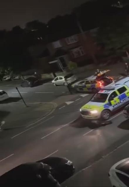 This is London...  Police try to stop an escaped cow...by ramming it.  Where exactly did a cow escape from in West London?!