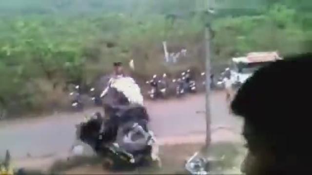 ELEPHANT WENT WILD IN INDIA  Is it a rare issue or a sign humans should leave them alone?