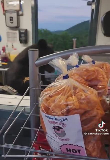 BEAR SHOWED UP AT DINER FOR SNACKS