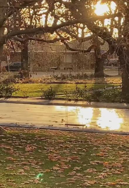Huge snow like particles everywhere but it’s sunny and no snow…. Welcome to the period before Inauguration Day. Something is coming
