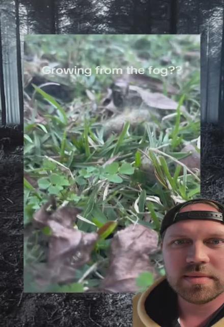 there are tiktok vids of mold or hair growing on top of dog and cat poo after the fog was there....