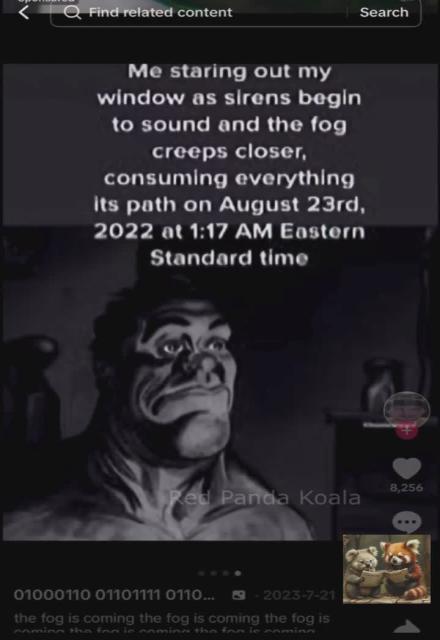 Browsing the post of Tik Tok account "I know what is coming" who in 2023 predicted a dangerous fog would be coming December 2024