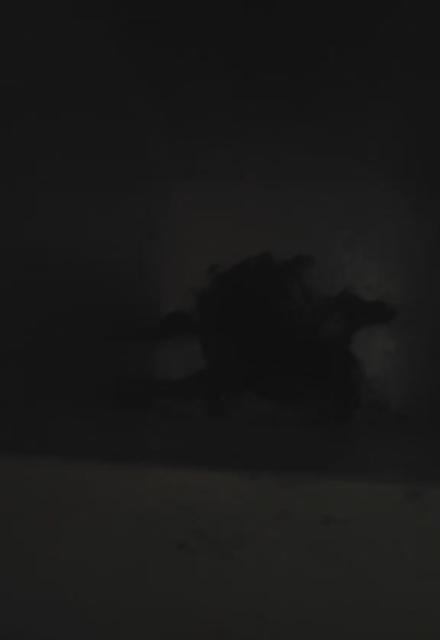 kinpanama on tiktok - alien