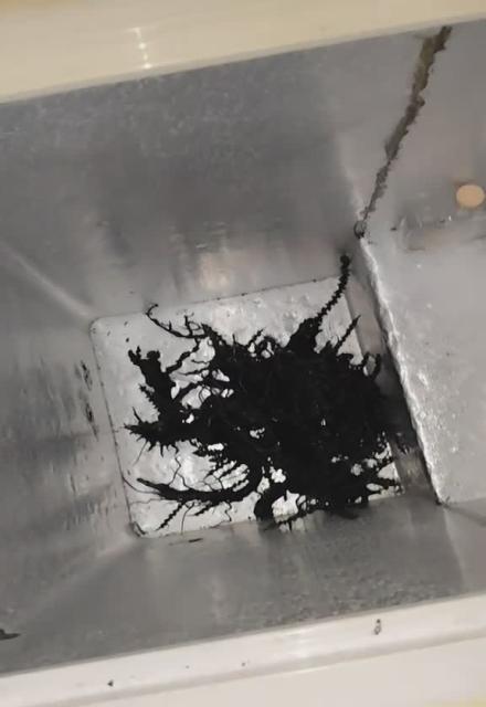 kinpanama on tiktok - alien 3