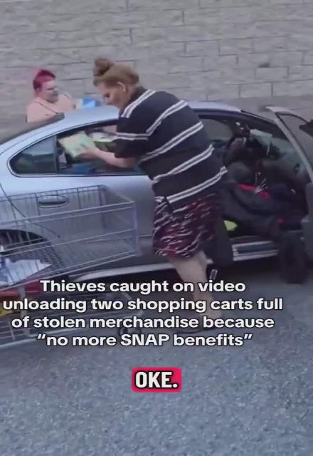 Thieves get caught loading their car with stolen groceries because of “no more SNAP benefits.”