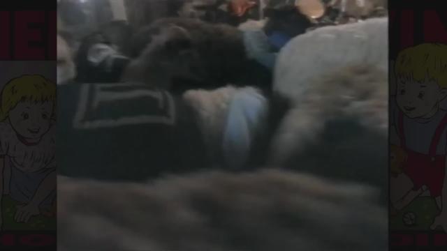 Melvins - Honey Bucket - Official Video
