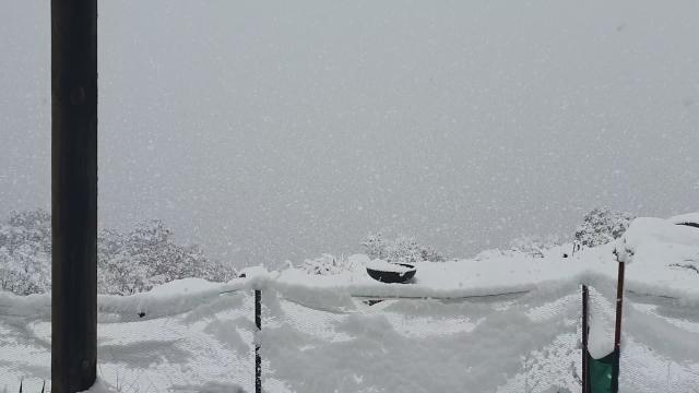lotsa white powder.....