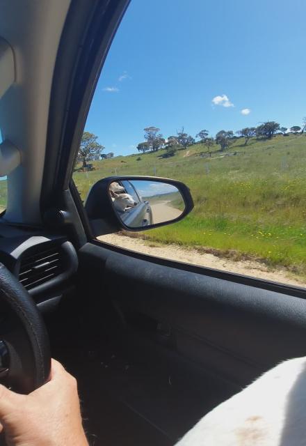 Cruisin....