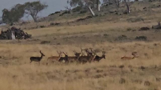 Nice racks!...