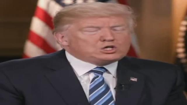 Trump on Ned