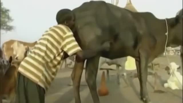 African full time job