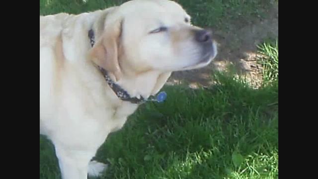Mr. B! RIP My sweet Friend Happy Memorial I remember you!