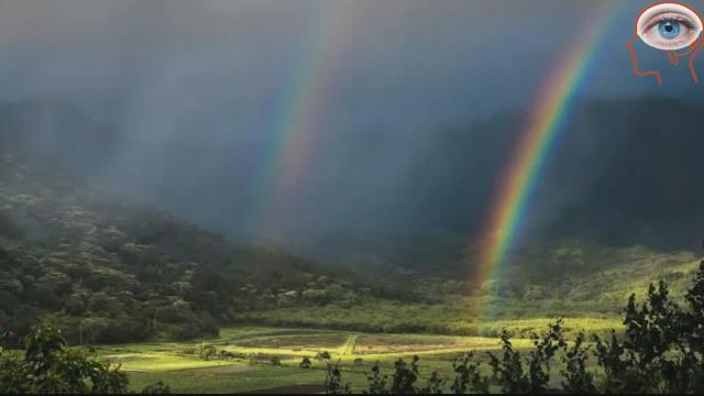 (This is NOT SOME FALSE WOKE Ideology but....THESE ARE THE Most Unusual Rainbows)  -   The Ch's Mascot due to a Vision I once had seen!