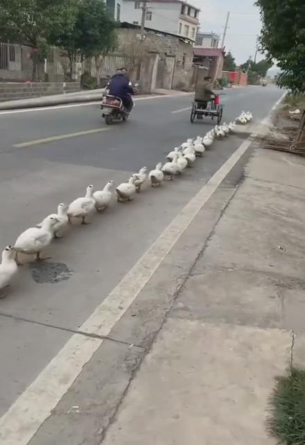 Line em up there!