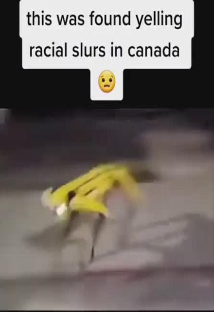 Racial-Radical Robots in Canada
