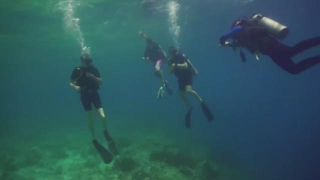 What Deep Sea Implosions Do To A Body