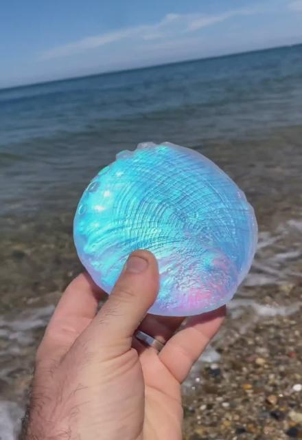 The Spectral Colored Shell