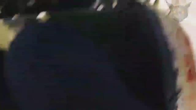 MEME Cannon on a BIKE!