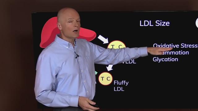 Your Doctor Is Wrong About Cholesterol