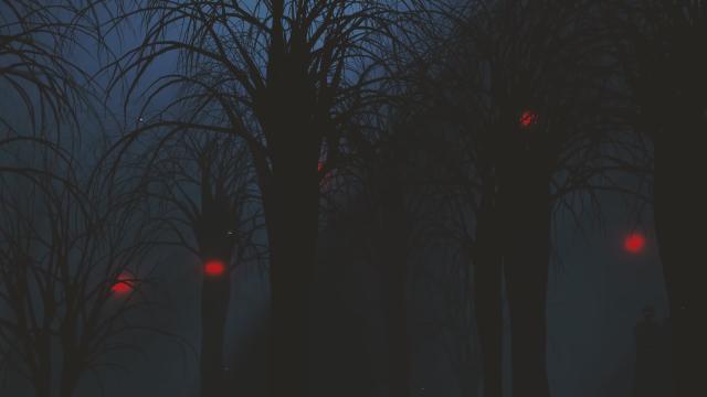 Human