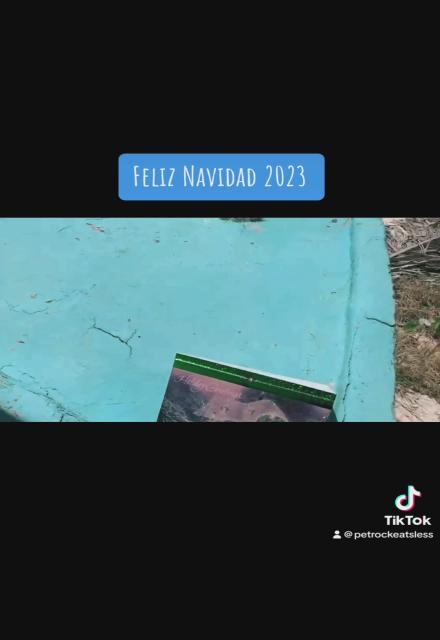 Feliz Navidad 