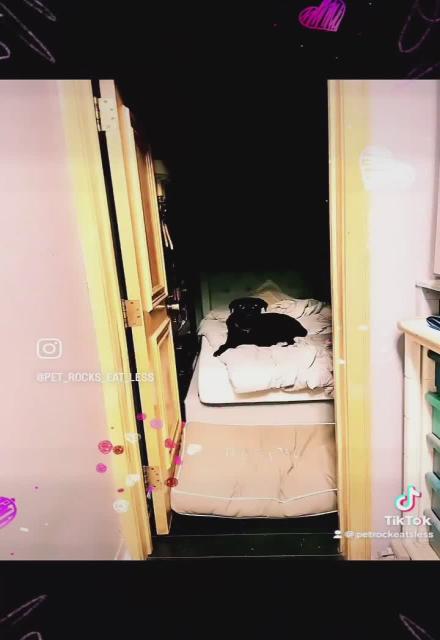 The Bed 🦭 