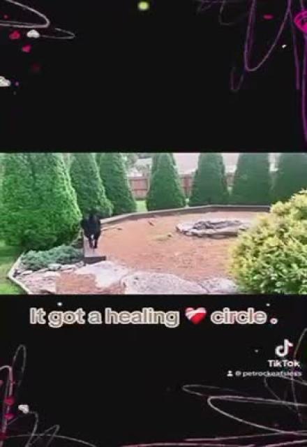 My friend s Yard