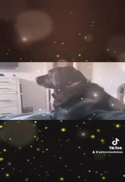 Fucked up my leg