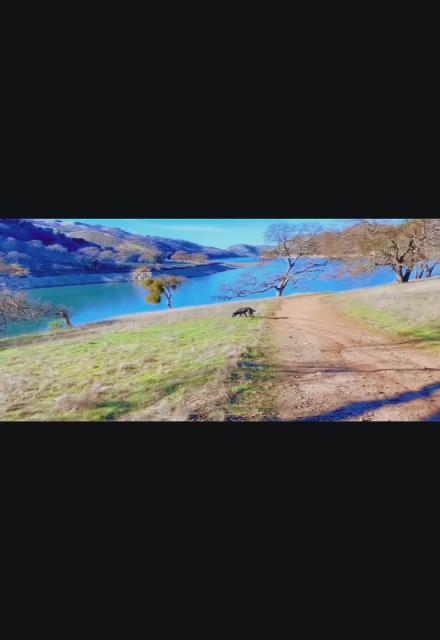 Hike ! 