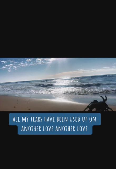 Live Life 
