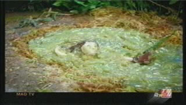 Mad TV - The Aussie Hunter, Crocodile