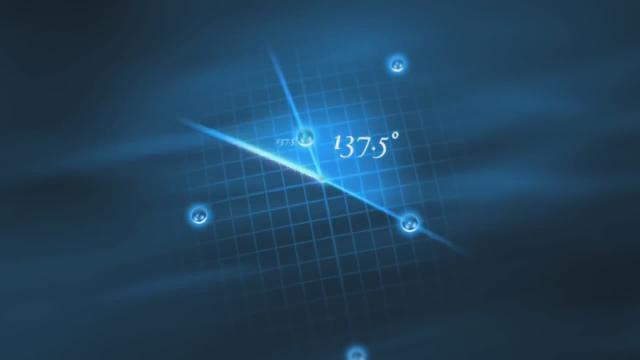 Nature by Numbers