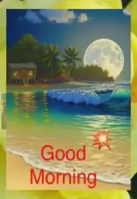 Good Morning Everyone 早上好