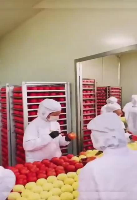 View from inside my factory 從我的工廠內部看去