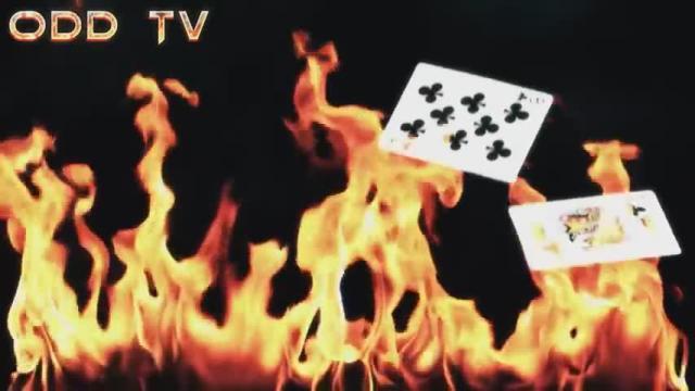 god damn human in general retards love slavery.mp4 FUCK YOU ALL IM SO SICK OF IT.XXXXXXXXXXXXXXXXXXXXXXXXXXXXXXXXXXXXXXXXXXXXXXXXXXXX